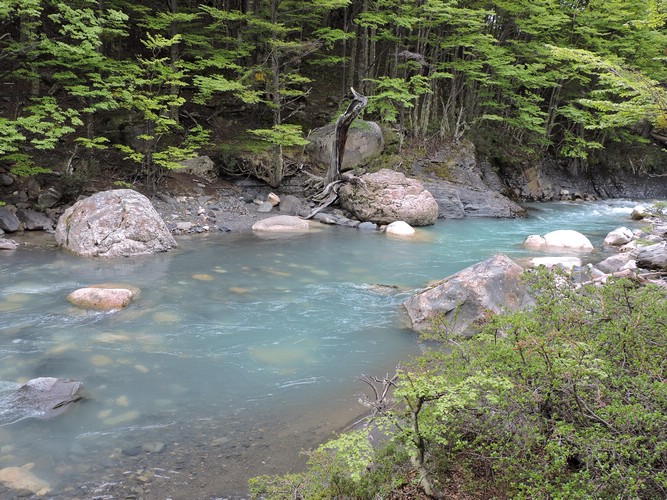 DSCN7940.JPG