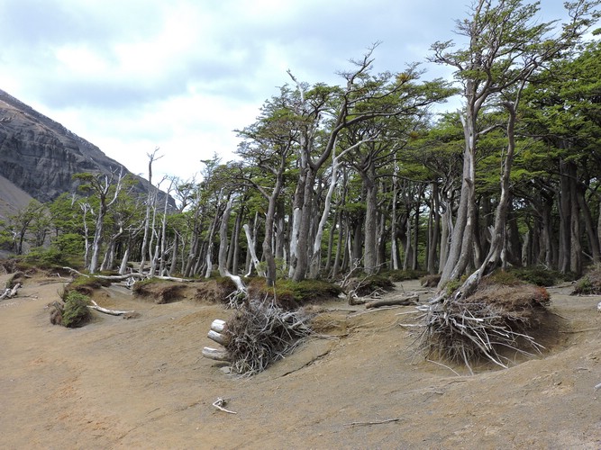DSCN7952.JPG