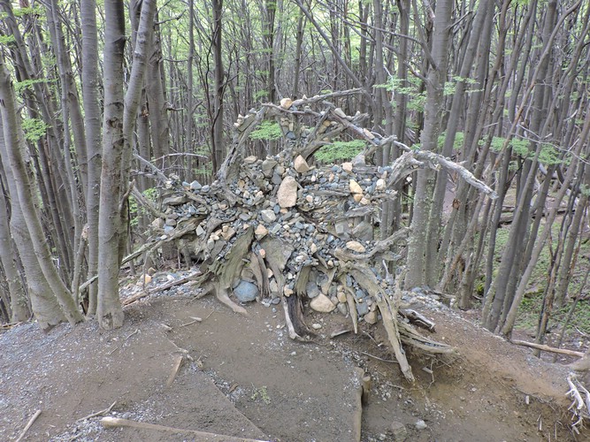 DSCN8005.JPG