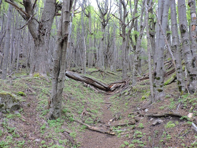 DSCN8006.JPG