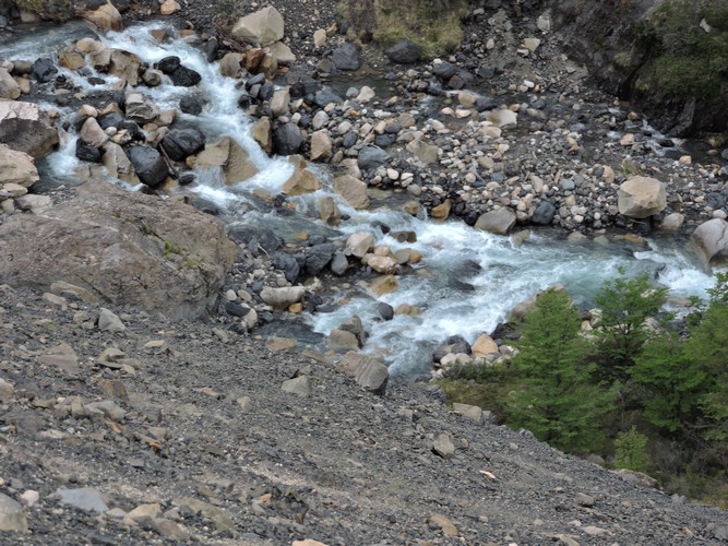 DSCN8011.JPG