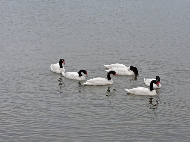 DSCN8019.JPG