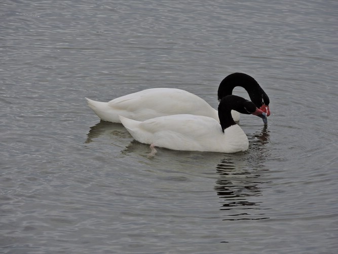 DSCN8021.JPG