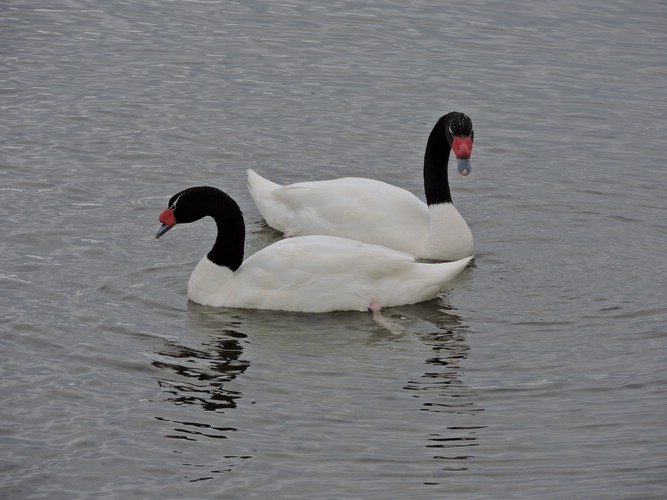 DSCN8022.JPG
