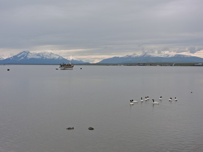 DSCN8025.JPG