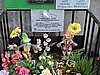 DSCN7904.JPG