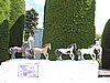 DSCN7909.JPG