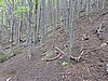 DSCN7938.JPG