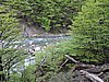 DSCN7939.JPG