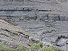 DSCN7948.JPG
