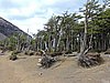 DSCN7952.JPG