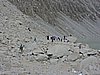 DSCN7958.JPG
