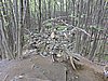 DSCN8005.JPG