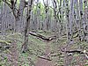 DSCN8006.JPG