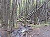 DSCN8007.JPG