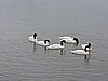 DSCN8019.JPG