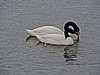 DSCN8021.JPG