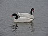 DSCN8022.JPG