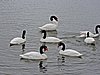 DSCN8024.JPG
