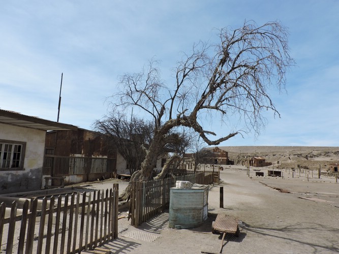 DSCN8271.JPG