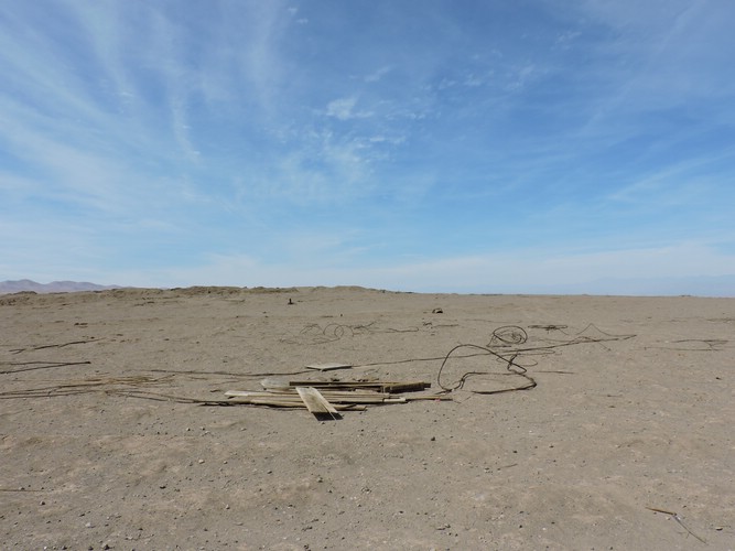 DSCN8311.JPG