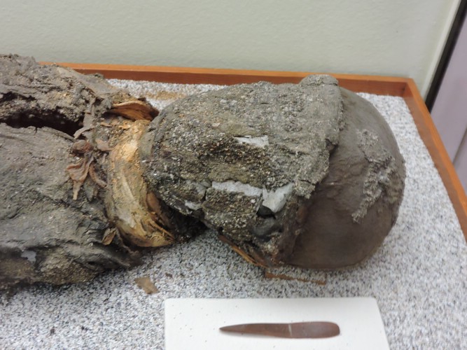 DSCN8367.JPG