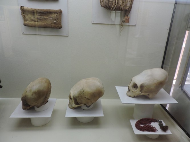 DSCN8369.JPG