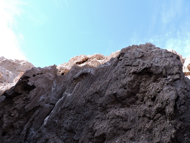 DSCN8430.JPG