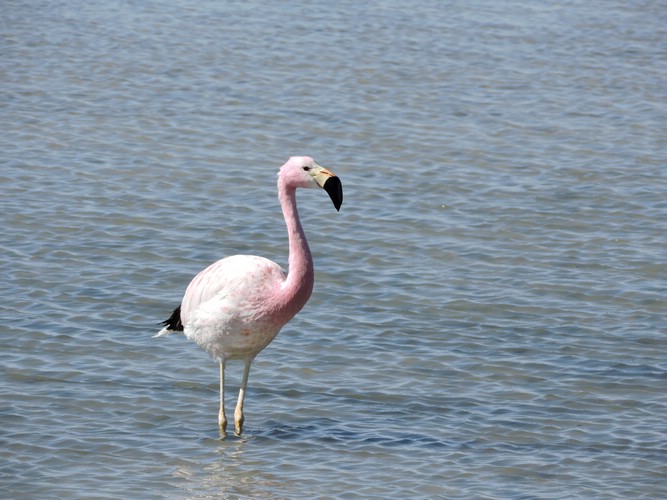 DSCN8568.JPG