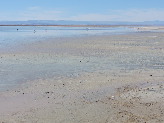 DSCN8570.JPG