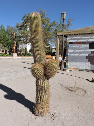 DSCN8576.JPG