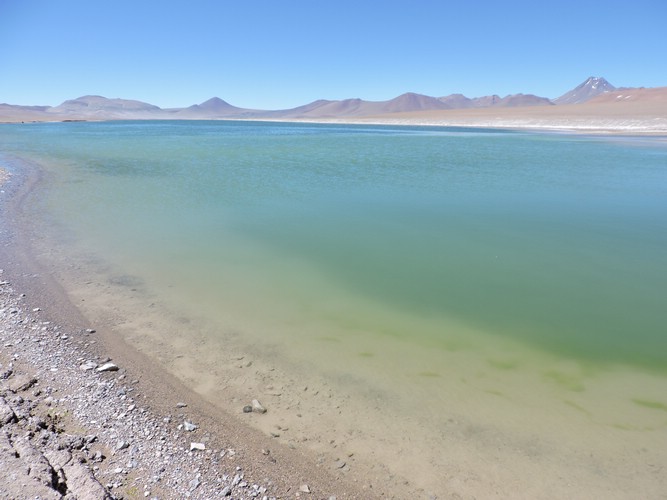 DSCN8619.JPG