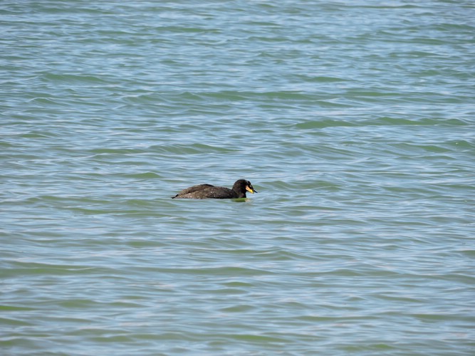 DSCN8625.JPG