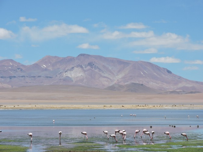 DSCN8685.JPG
