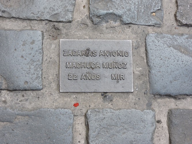 DSCN8826.JPG