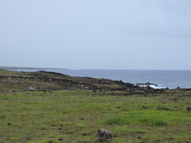 DSCN8847.JPG
