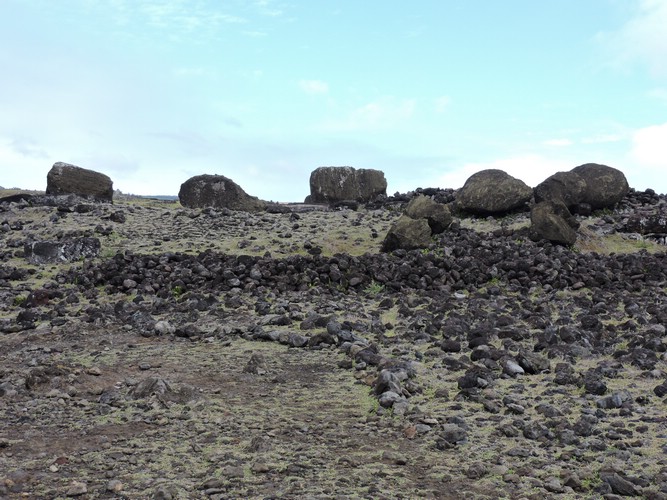 DSCN8854.JPG