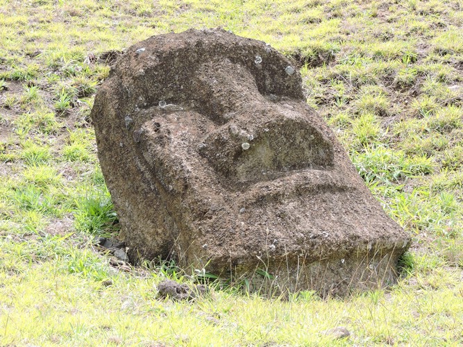 DSCN8939.JPG