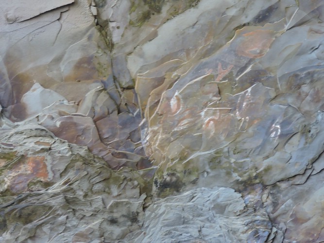 DSCN8974.JPG