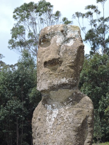 DSCN9046.JPG