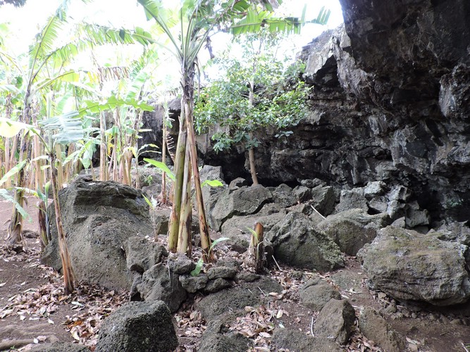 DSCN9052.JPG