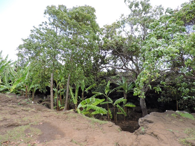 DSCN9055.JPG