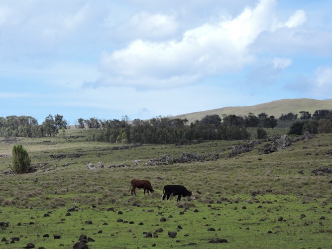 DSCN9060.JPG