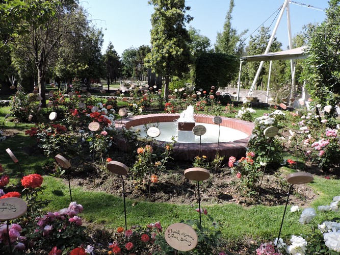 DSCN9120.JPG