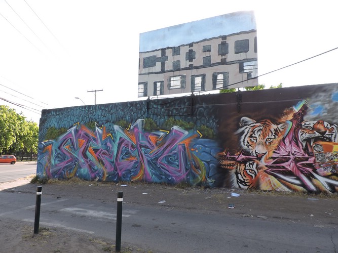 DSCN9138.JPG