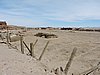 DSCN8288.JPG