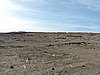 DSCN8349.JPG