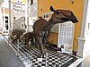 DSCN8364.JPG