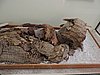 DSCN8365.JPG