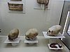 DSCN8369.JPG